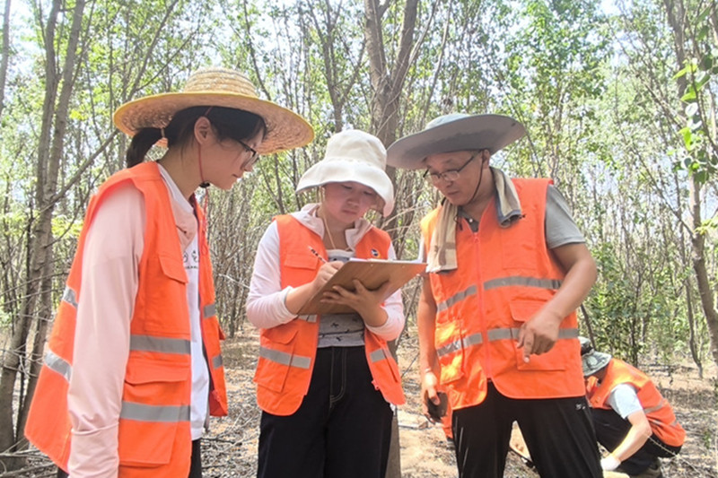 151752574558261918.jpeg 3.jpg