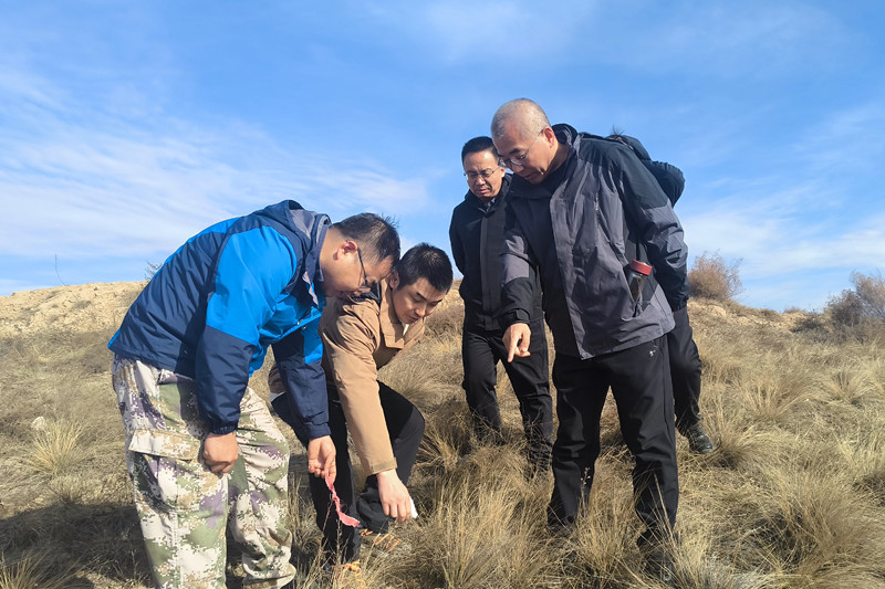 141763092672167978.jpeg 2.jpg